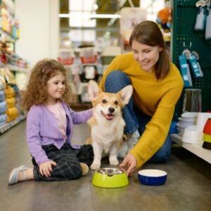 طعام جاف للقطط البالغة بنكهة الدجاج – 1.5 كجم